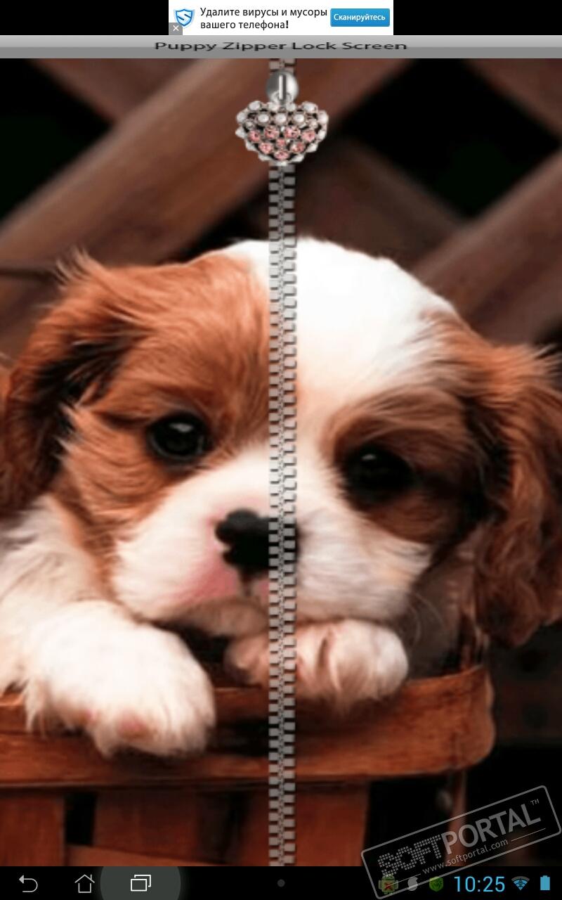 Puppy Zipper Lock Screen 10.1