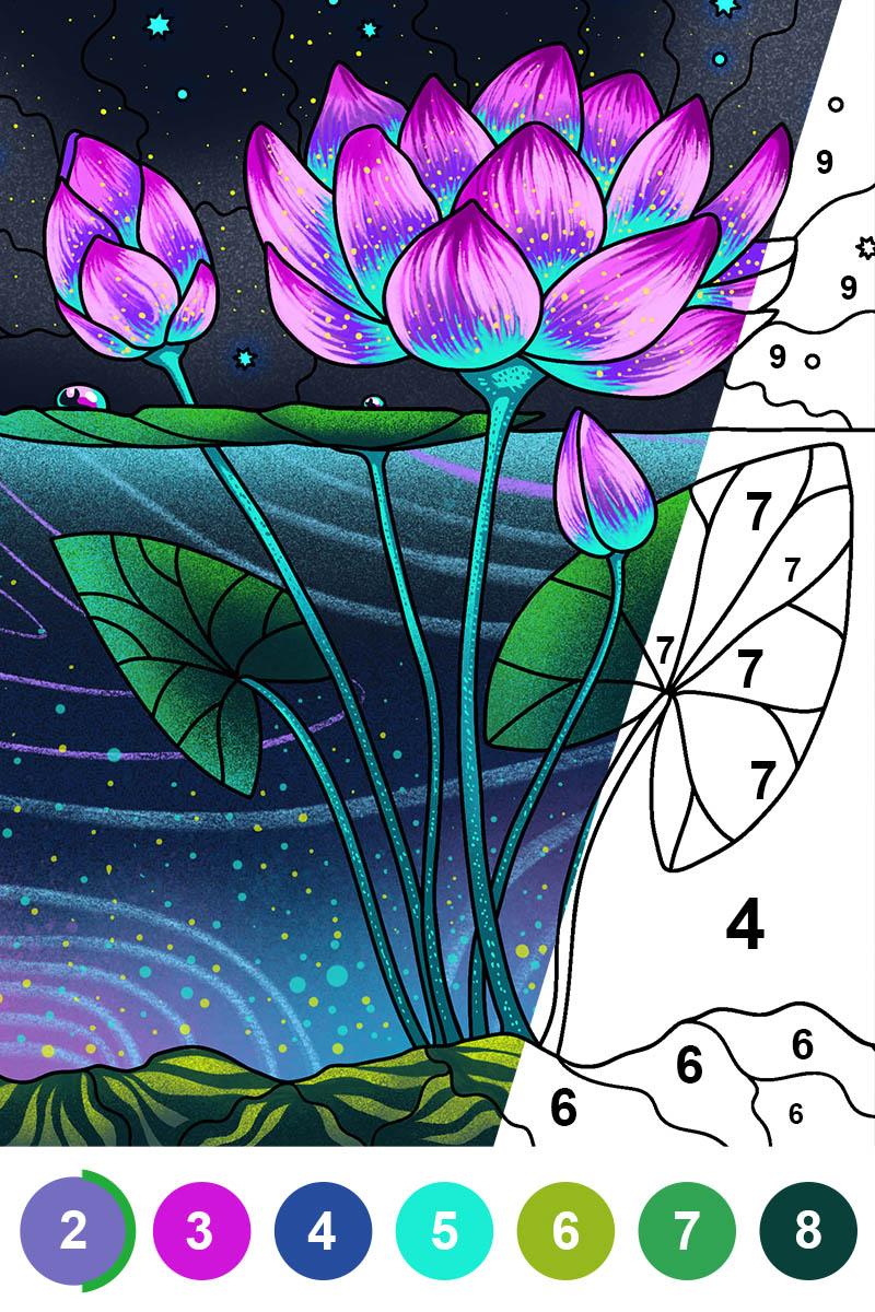 Coloring pages by numbers 2.76.6